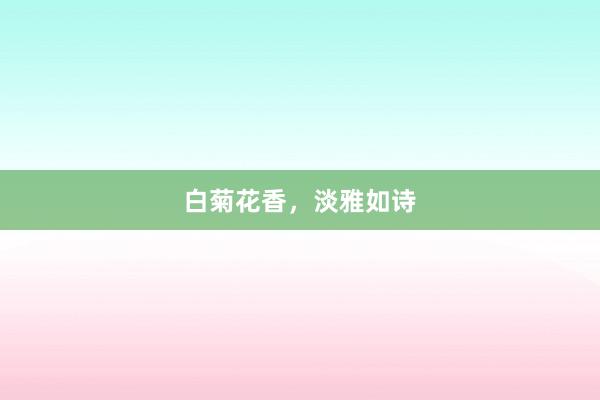 白菊花香,淡雅如诗