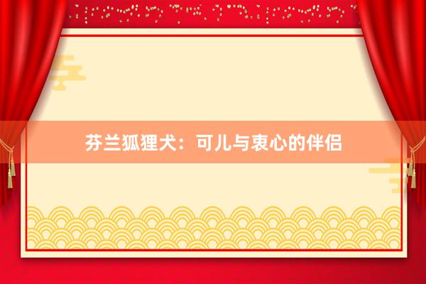 芬兰狐狸犬：可儿与衷心的伴侣