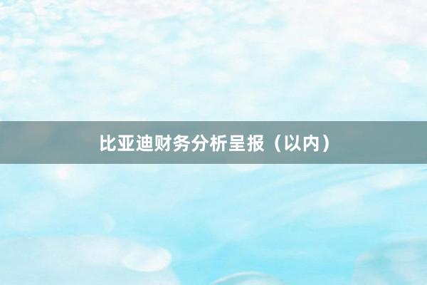 比亚迪财务分析呈报（以内）